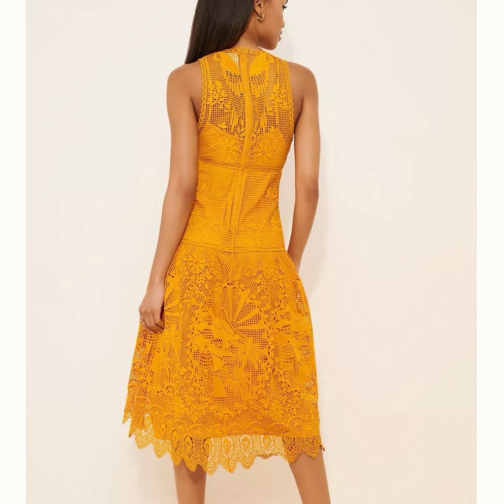 Farm Rio tropical lace parrot Midi Dress - Picture 4 of 12